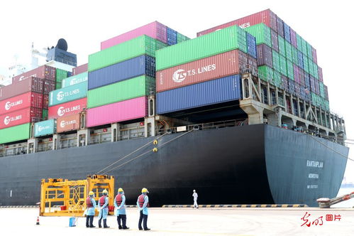 5月份山東外貿進出口創(chuàng)歷史新高，貨物貿易表現強勁